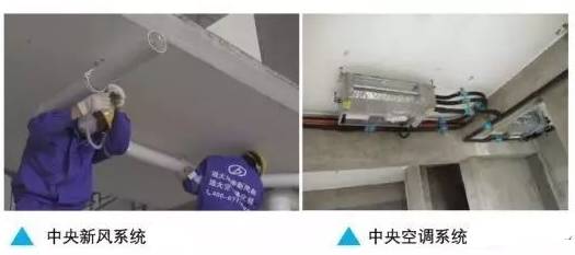 香港公开免费资料大全